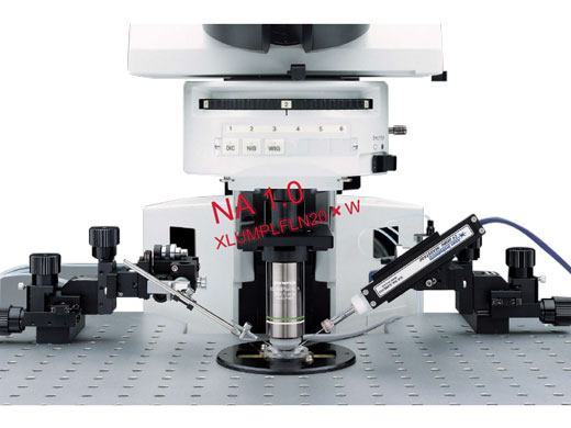 product_bx61wi_bx51wi_overview_01.jpg